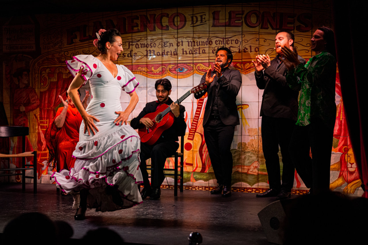 Flamenco de Leones